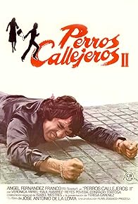 Primary photo for Perros callejeros II