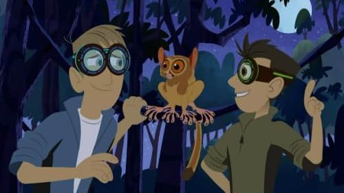 Wild Kratts (2011)