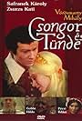 Csongor és Tünde (1976)