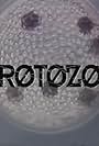 Protozoa (1993)