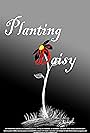 Planting Daisy (2016)