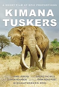 Primary photo for Kimana Tuskers