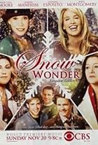 Jason Priestley, Mary Tyler Moore, Camryn Manheim, Jennifer Esposito, Poppy Montgomery, and Eric Szmanda in Snow Wonder (2005)