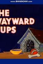 The Wayward Pups