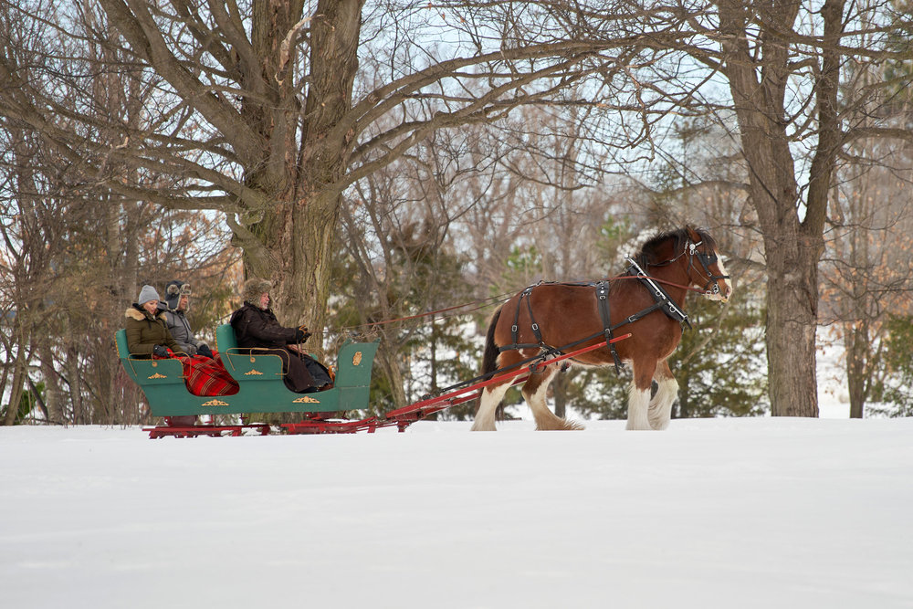 Katie Cassidy and Stephen Huszar in A Royal Christmas Crush (2023)