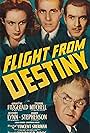 Geraldine Fitzgerald, Jeffrey Lynn, Thomas Mitchell, and James Stephenson in Flight from Destiny (1941)