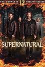 Supernatural: The Winchester Mythology - The Hunter's Life (2017)