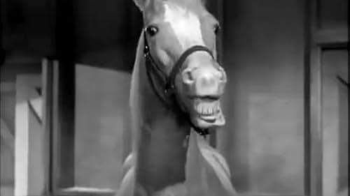 Mister Ed: Season One