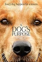 A Dog's Purpose