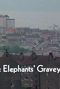 Primary photo for The Elephants' Graveyard