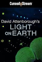 Attenborough's Life That Glows