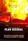 Plan sexenal (2014)