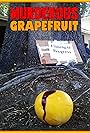 Murderous Grapefruit (2018)