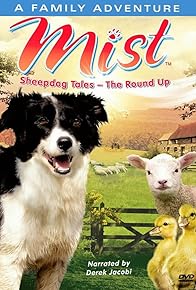 Primary photo for Mist: Sheepdog Tales