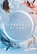 A Perfect Planet