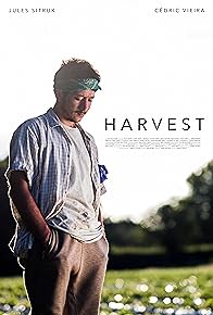 Primary photo for Harvest