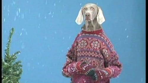 William Wegman's Fay's Twelve Days of Christmas