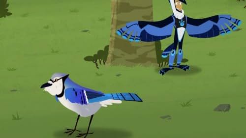 Wild Kratts (2011)