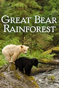 Great Bear Rainforest (2019)