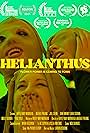 Helianthus (2022)