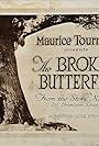 The Broken Butterfly (1919)