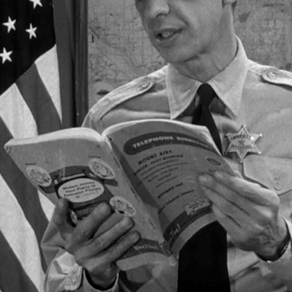 Don Knotts in The Andy Griffith Show (1960)