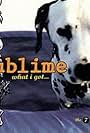 Sublime: What I Got (1996)