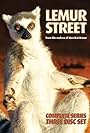 Lemur Street (2007)