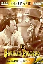 El gavilán pollero (1951)