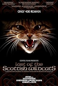 Primary photo for Last of the Scottish Wildcats