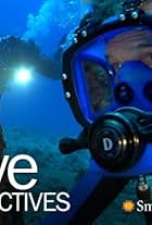 Dive Detectives (2009)