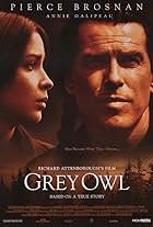 Grey Owl