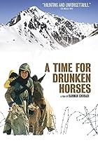 A Time for Drunken Horses