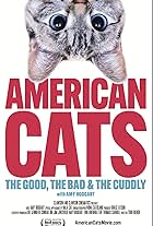 American Cats: The Good, the Bad, and the Cuddly