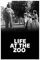 Life at the Zoo (1946)