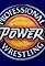 UWF Power Pro Wrestling's primary photo