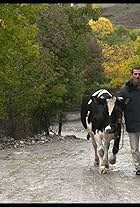 Holy Cow (2015)