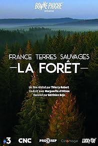 Primary photo for France terres sauvages - La forêt