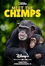 Meet the Chimps (2020)