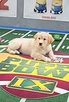 Puppy Bowl IX (2013)