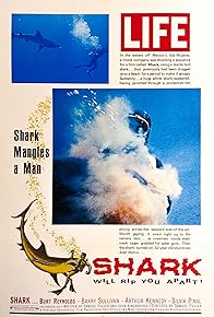 Primary photo for Shark