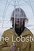 Primary photo for The Lobster