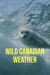 Primary photo for Wild Canadian Weather