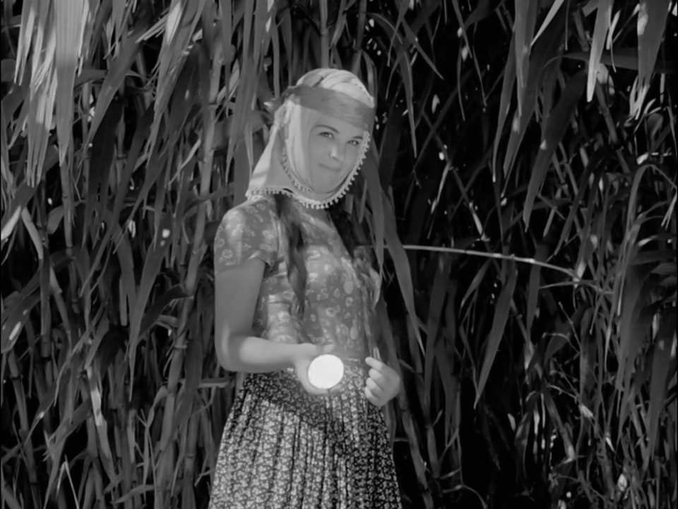 Hülya Koçyigit in Dry Summer (1963)