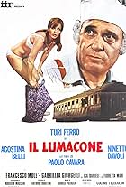 Il lumacone