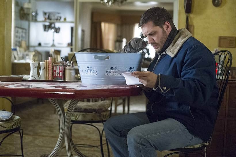 Tom Hardy in The Drop (2014)