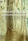 Sinais de Serenidade (2012)