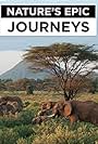 Nature's Epic Journeys (2016)