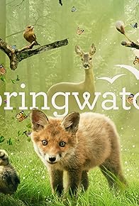 Primary photo for Springwatch