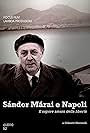 Sándor Márai e Napoli - Il sapore amaro della libertà (2012)